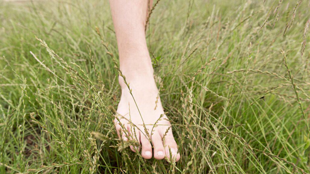 Gevoeligheid & Stress