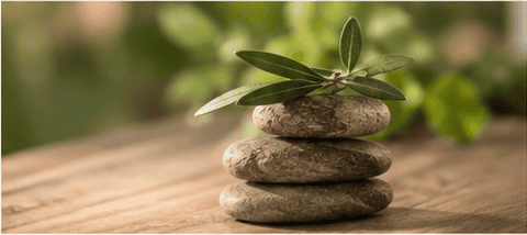 Therapie Tarieven Hilversum